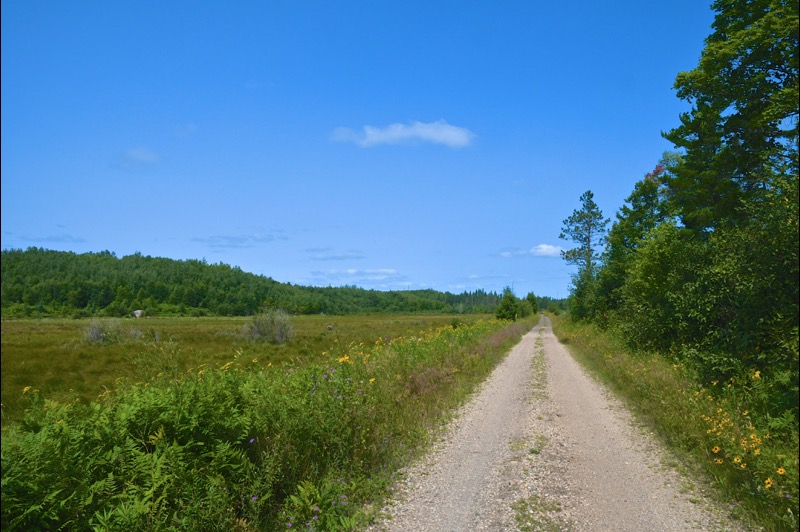 Republic Champion Grade Trail